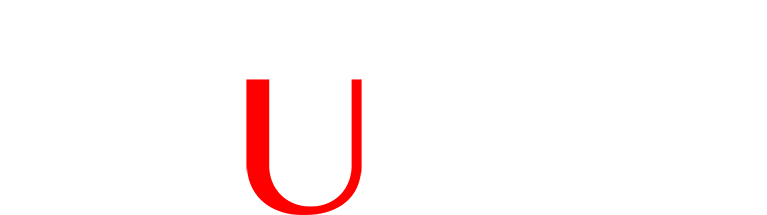 bruder logo